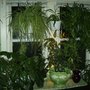 Second Double Window In My Office