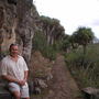Dragon trees