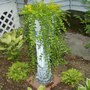Creeping Jenny Planter