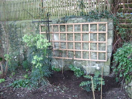 New trellis 