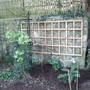 New trellis 