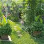 Path To The Patio