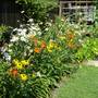 Plant Grouping