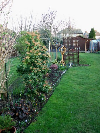 left hand and trellis bed 24 feb 2008