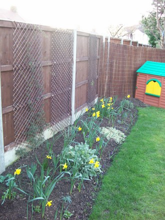 cottage garden bed 24 feb 2008
