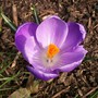 Mum_n_brooke_7