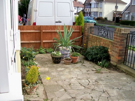front garden late feb