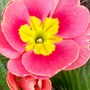 27_feb_3