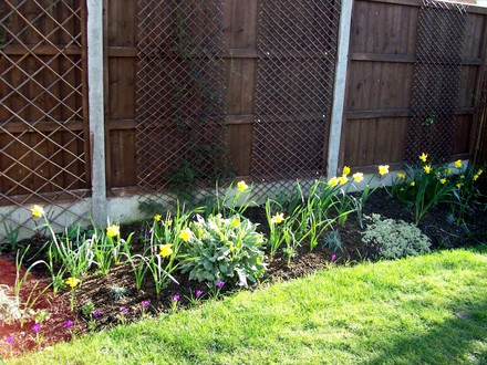 spring has arrived
