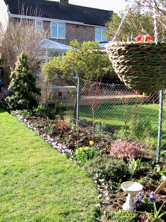 sunny spring morning