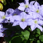Captured_2007-5-24_00005