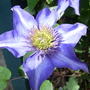 Captured_2007-5-24_00009