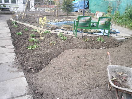 pond site