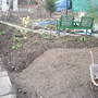 pond site