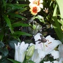 August_2007