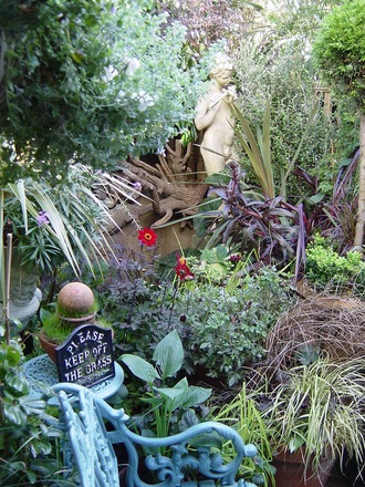 The area surrounding the wildlife pond. Summer 2007.