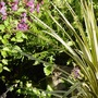 August_2007