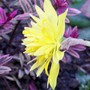 28_2_2
