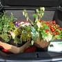 A_boot_full_of_goodies