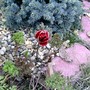 Pict0177