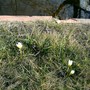 Pict0183