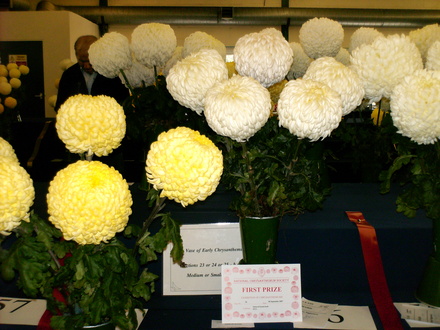 A Winning vase at 2007 National