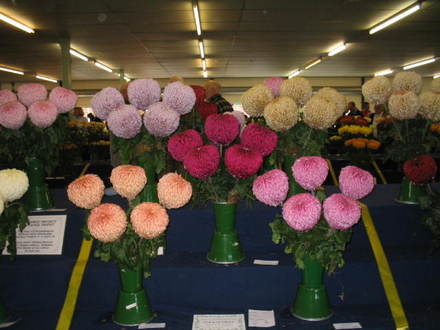 Late National Show 2007