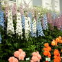 Pict0014