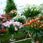 Pict0026