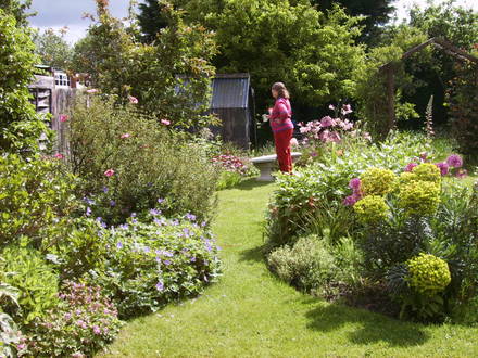 Left hand side of the garden