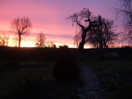 Sunrise across my front garden.