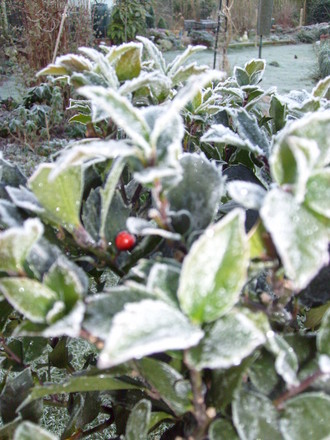 garden_1.03.08_001.jpg