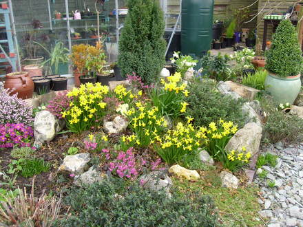 garden_1.03.08_006.jpg