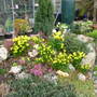 garden_1.03.08_006.jpg