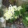 garden_1.03.08_011.jpg