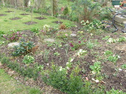 garden_1.03.08_007.jpg