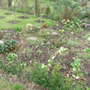 garden_1.03.08_007.jpg