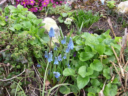 garden_1.03.08_012.jpg