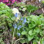 garden_1.03.08_012.jpg