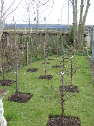 garden_1.03.08_016.jpg