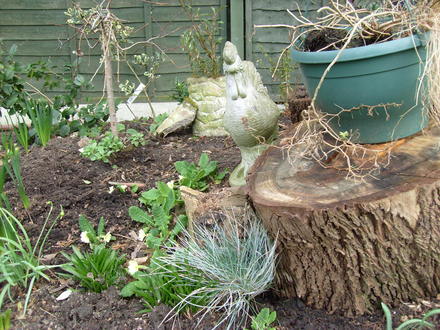garden_1.03.08_013.jpg