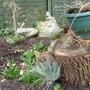 garden_1.03.08_013.jpg