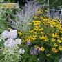 Misc_005__2_