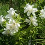Misc_1_018