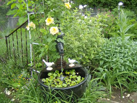 Water Feature