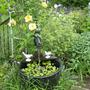 Water Feature