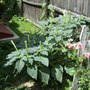 Misc_1_022