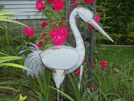Crane
