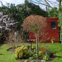 Early Spring