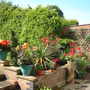 Summer 2007